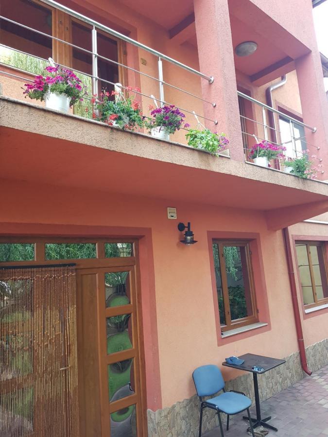 Vila Mario Apartment Galati  Exterior photo